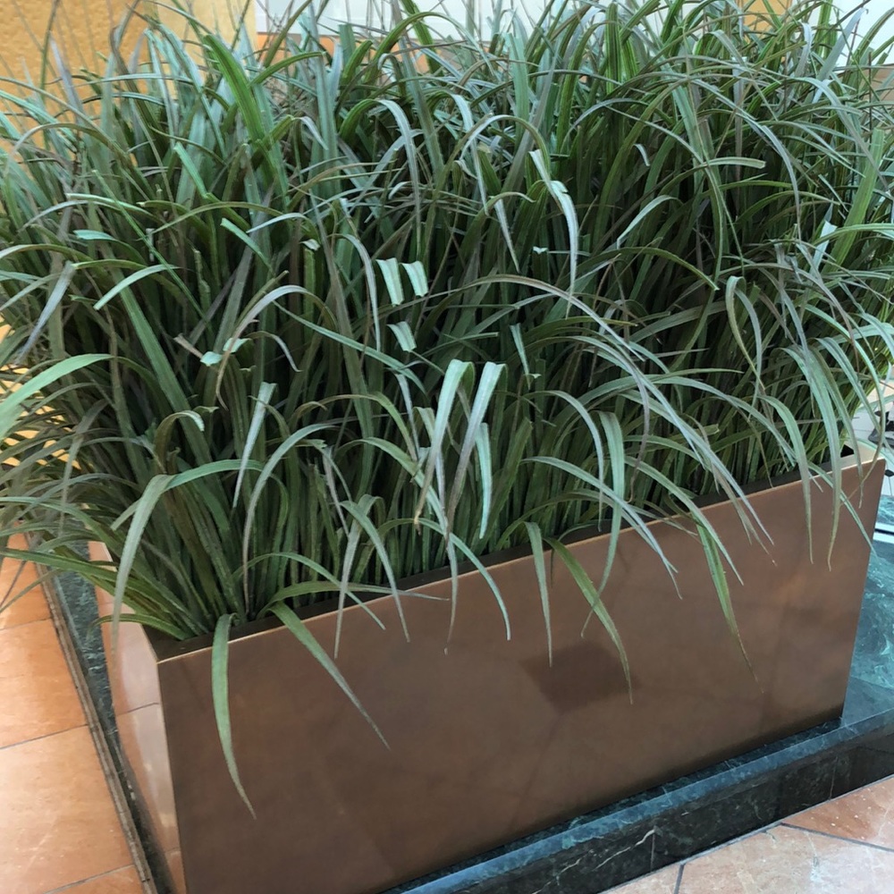 Meet your Posher, Coco